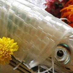 博多 つつじ庵_さまざまな九州グルメを堪能！観光のお食事にもおすすめです