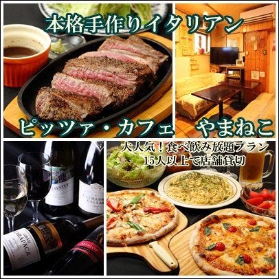 ピッツァ カフェ やまねこ 福生 居酒屋 ぐるなび