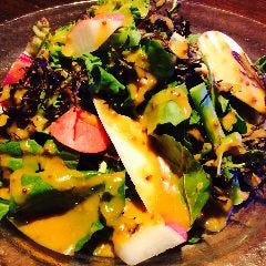 柴田郡村田町ボンディファーム鹿股さんの有機野菜サラダ