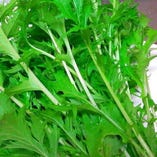 水菜と大根のバリバリサラダ