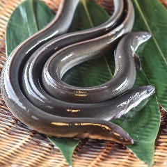 八重洲 鰻 はし本