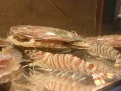 大小宴会個室 村さ来 中野北口店（東京都）
