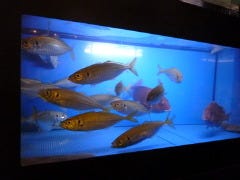 大小宴会個室 村さ来 中野北口店（東京都）