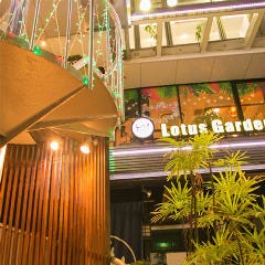 記憶に残るサプライズ リゾートdining ロータスガーデン 表参道 メニュー 名様 Ok 貸切 ぐるなび