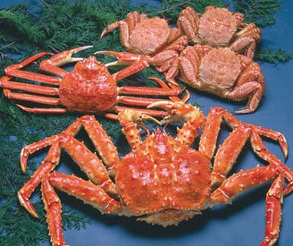 近鉄四日市駅周辺のおいしい鍋料理のお店15選