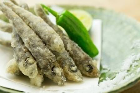 大五郎 鹿児島市 日本料理 ぐるなび