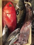 新鮮！！沼津港直送のお魚は鮮度抜群です！！不定期仕入れのため、お店にて『本日のおすすめ』メニューでご案内しておりますので、出会ったら絶対食べるべき☆☆