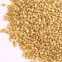 新宿三丁目でお座敷 座敷席がある居酒屋