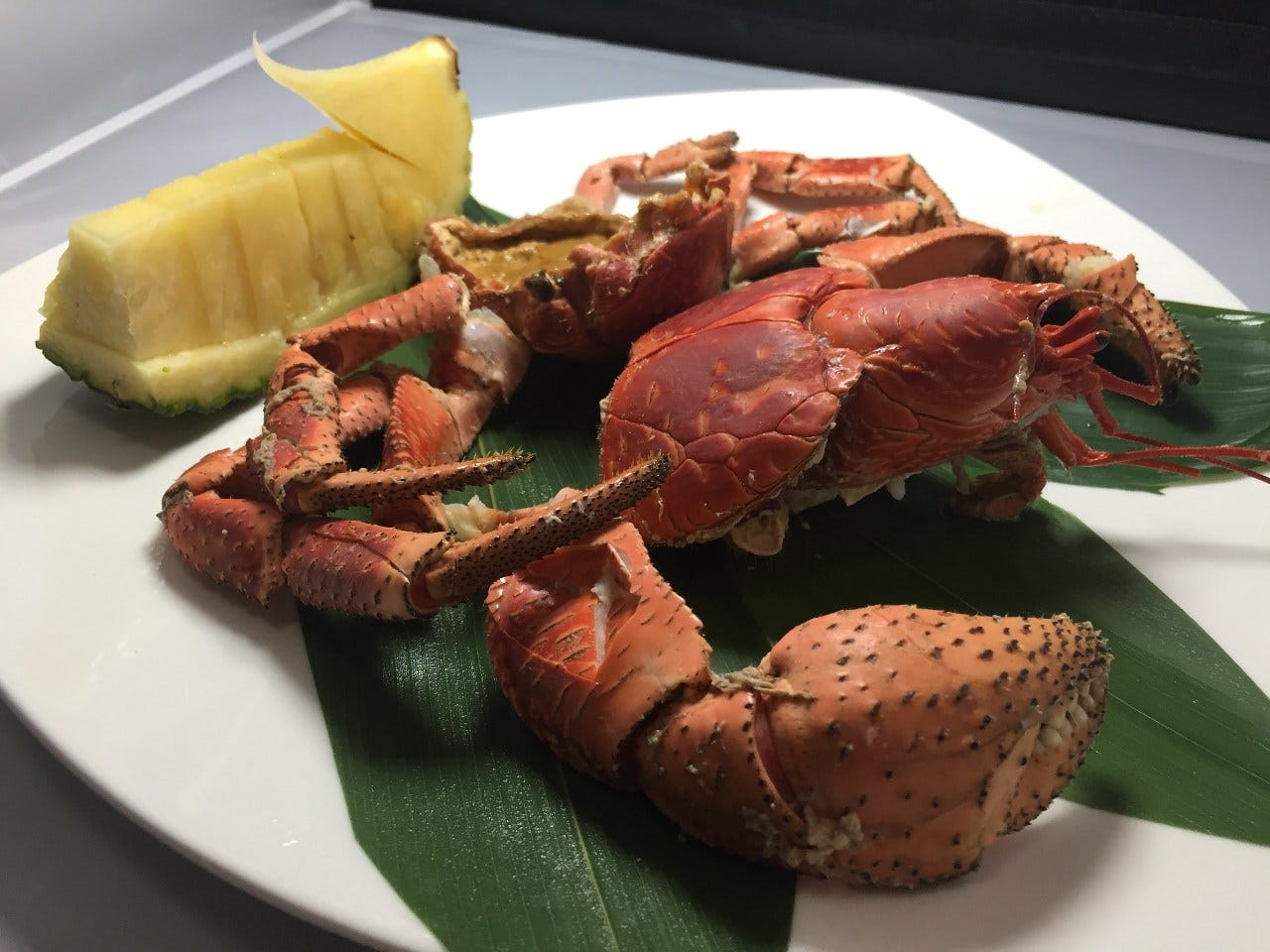 めんそーれ 沖縄 セミエビ ヤシガニ