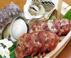 めんそーれ 沖縄 那覇 沖縄料理 ぐるなび めんそーれ 沖縄 那覇 沖縄料理 ぐるなび