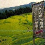 兵庫・但馬美方のこしひかり【兵庫県】