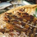 新鮮な魚介類は昭島市場で仕入れております。