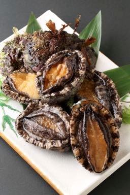 21年 最新グルメ あわびの源太 銀座 レストラン カフェ 居酒屋のネット予約 東京版 21年 最新グルメ あわびの源太 銀座 レストラン カフェ 居酒屋のネット予約 東京版