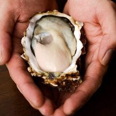 産地直送牡蠣食べ放題 浜の牡蠣小屋 関内本店 