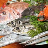 瀬戸内海の新鮮な魚介類を思いっきり堪能！