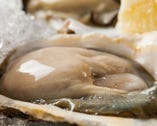 国内外の今いちばん美味しい
旬の牡蠣がいろいろ...