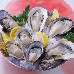 Oyster Bar ジャックポット新宿 