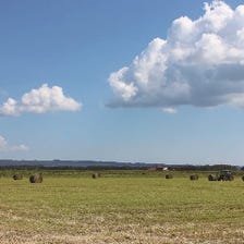 北海道×イタリアンの素材を満喫！