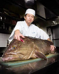 今が旬　38.6キロの天然クエ(徳島県由岐産) 