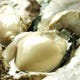 北海道１の厚岸産牡蠣です！
年中食べれるのはゴリラだけ！