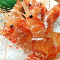 和どさんこキッチンゴリラ すすきの本店 自慢の食材 北海道産活ボタンエビ ぐるなび