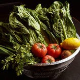 ミライザカでは野菜の栽培から収穫まで携わり、美味しい野菜をご提供しています。