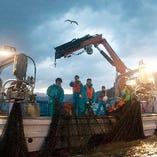 【漁師直結】今朝獲れた魚を夕方には関東で食べられる贅沢！