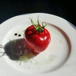 横須賀野菜！岩澤君のすごいトマト【横須賀市】