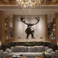 FLYING STAG
