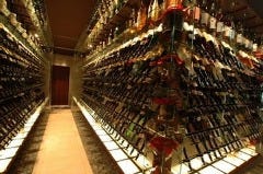 九州うまいもんと焼酎 芋蔵銀座 店