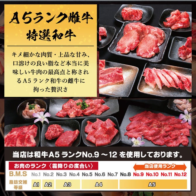 焼肉どうらく 心斎橋店 心斎橋 焼肉 ぐるなび 焼肉どうらく 心斎橋店 心斎橋 焼肉 ぐるなび