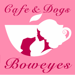 Cafe&Dogs BOWEYES ʐ^2