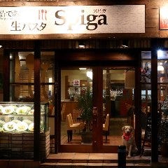 生パスタ専門店 スピガ ららぽーと新三郷店