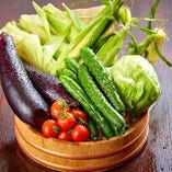 【野菜】
地元沖縄で採れた鮮度抜群の野菜をふんだんに使用