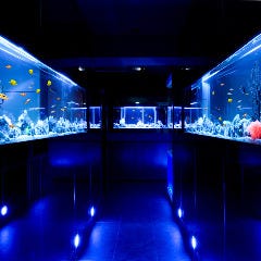 新橋で水槽があるレストラン 居酒屋