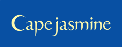 Cape jasmine