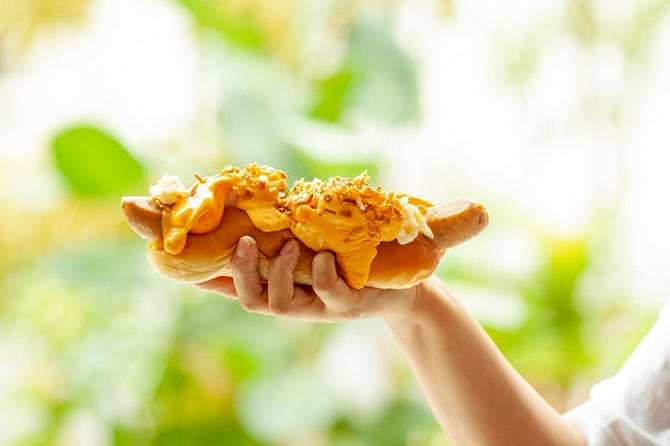 Coffee Dog Lush Life カフェアンドドッグラッシュライフ 橿原 カフェ ぐるなび