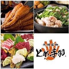 九州名物とめ手羽 今泉店 