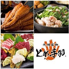 九州名物とめ手羽 今泉店