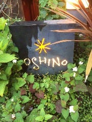 Oshino 