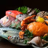 浜松観光のお食事に！新鮮な地魚を味わえるコース料理