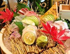 お酒と魚とおばんざい 浮波月