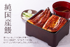 鰻のやどき