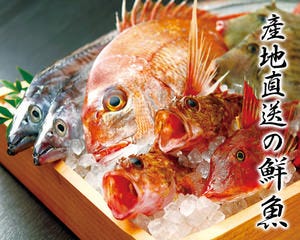 鮮魚と地鶏 千の庭 川崎東口店のURL1