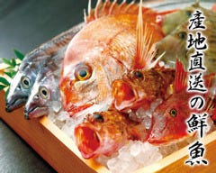 比内地鶏と国産本マグロ 千の庭 川崎東口店