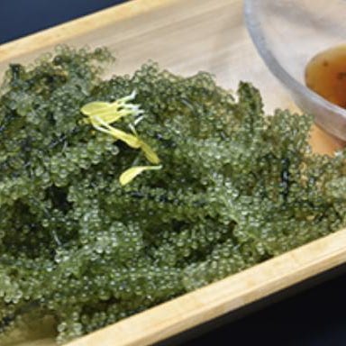 沖縄の台所 ぱいかじ 沖縄本店_【プチプチ食感がクセになる】沖縄県産 海ぶどう