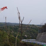 芸西村に建設中のダム