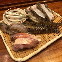 てんぷら 天朝_