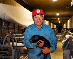 ミートレストラン とんきい