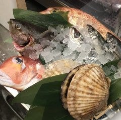 毎日仕入れる日替わりの鮮魚をお楽しみください